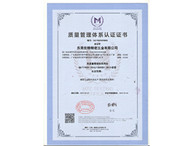 IS09001:2015質量管理體（tǐ）係認證